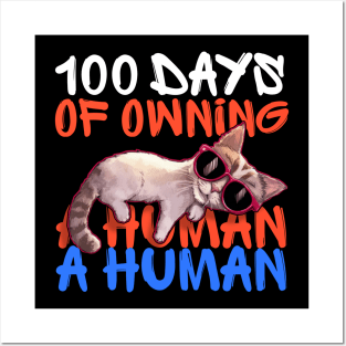 100 days of owning a human - funny cat with sunglasses Posters and Art